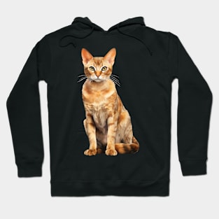 Arabian Mau Hoodie